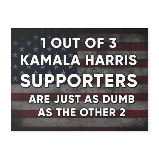 Dumb Kamala Supporters