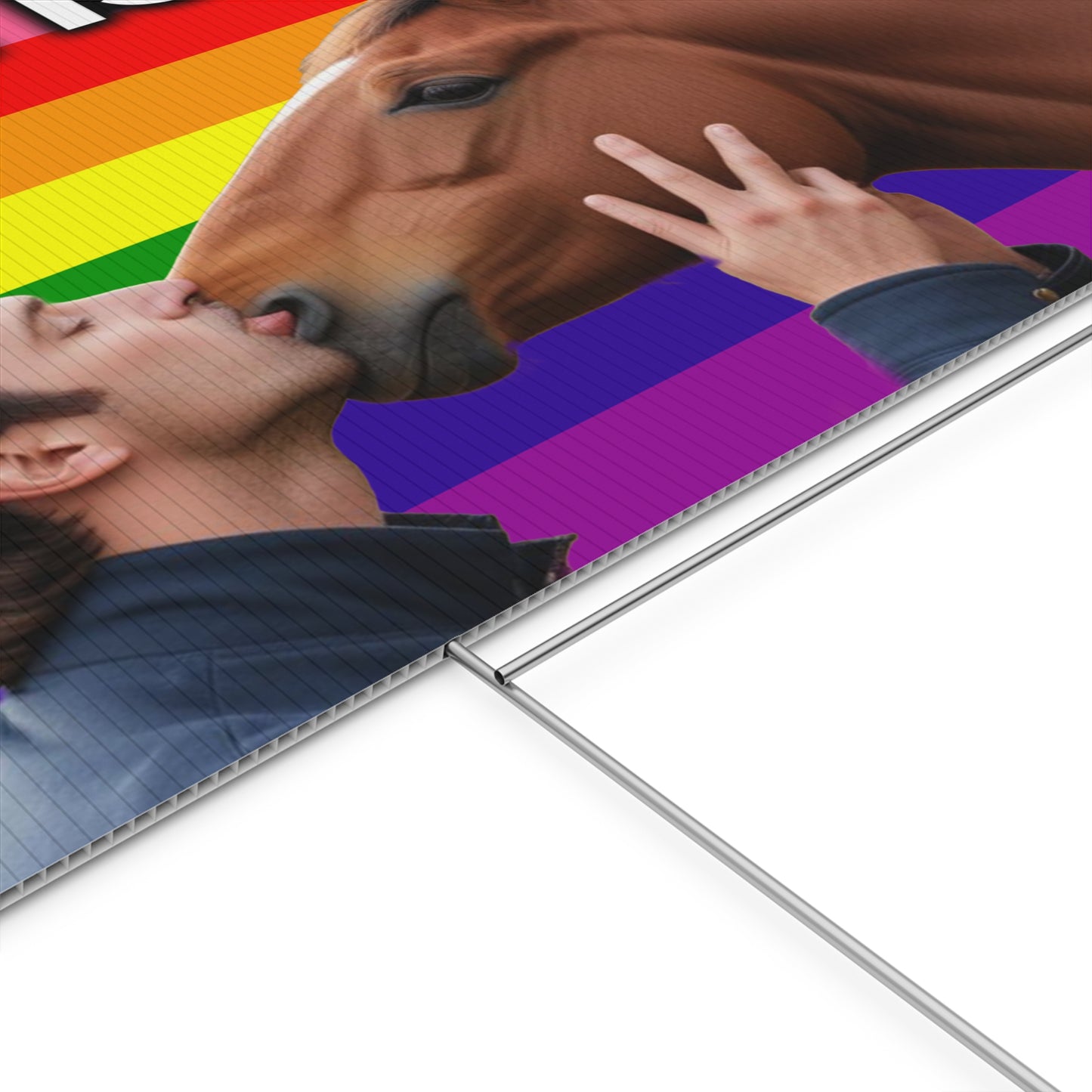 Love is Love (Man Kissing Horse)